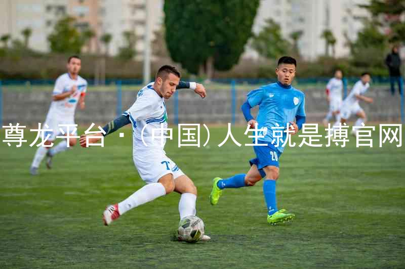 尊龙平台·(中国)人生就是搏官网