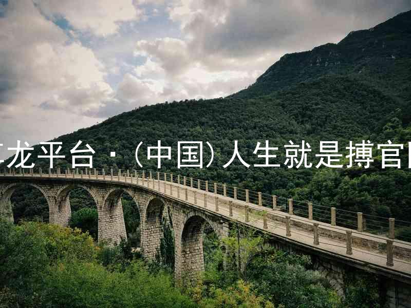 尊龙平台·(中国)人生就是搏官网
