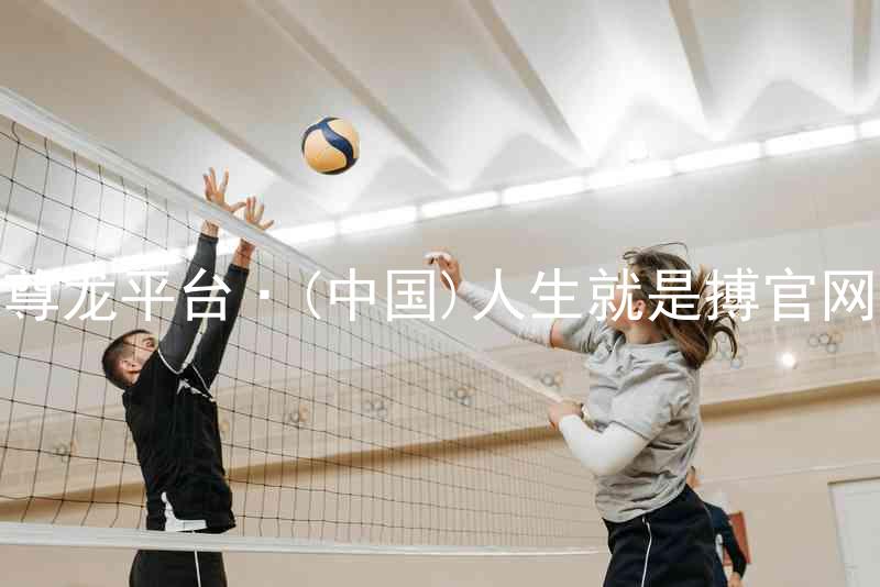 尊龙平台·(中国)人生就是搏官网