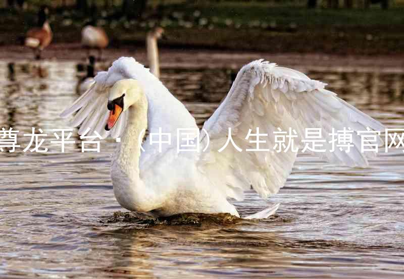 尊龙平台·(中国)人生就是搏官网